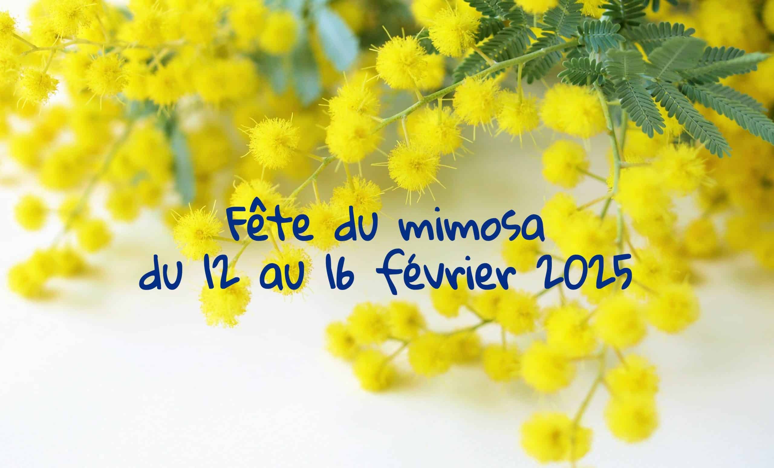 fête du mimosa 2025